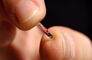 Swedish Company Microchips Employees